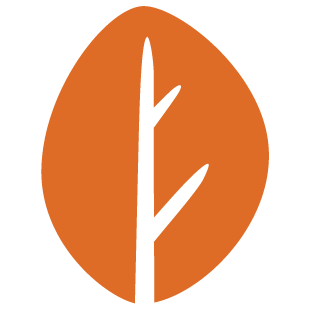 connectandplayhub.com favicon